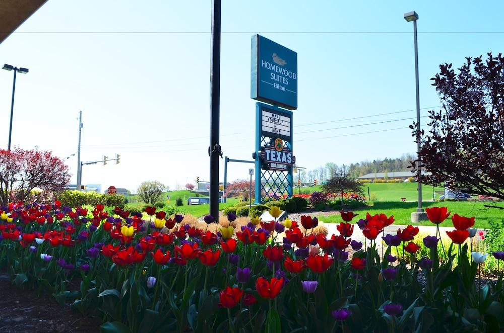 Homewood Suites By Hilton Reading-Wyomissing Exterior photo